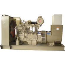 Cummins Diesel Generator Set (Perkins Option)